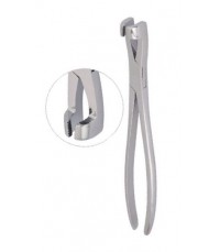 Tooth Forceps